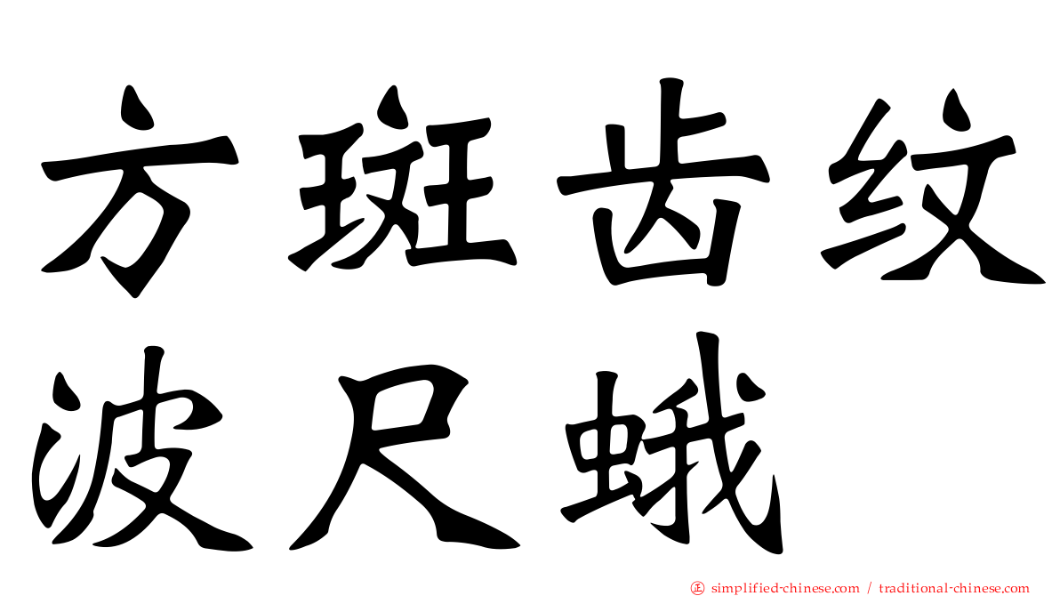 方斑齿纹波尺蛾