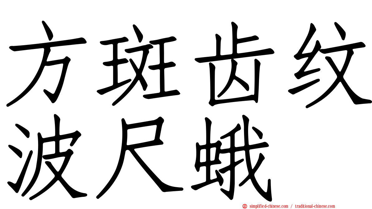 方斑齿纹波尺蛾