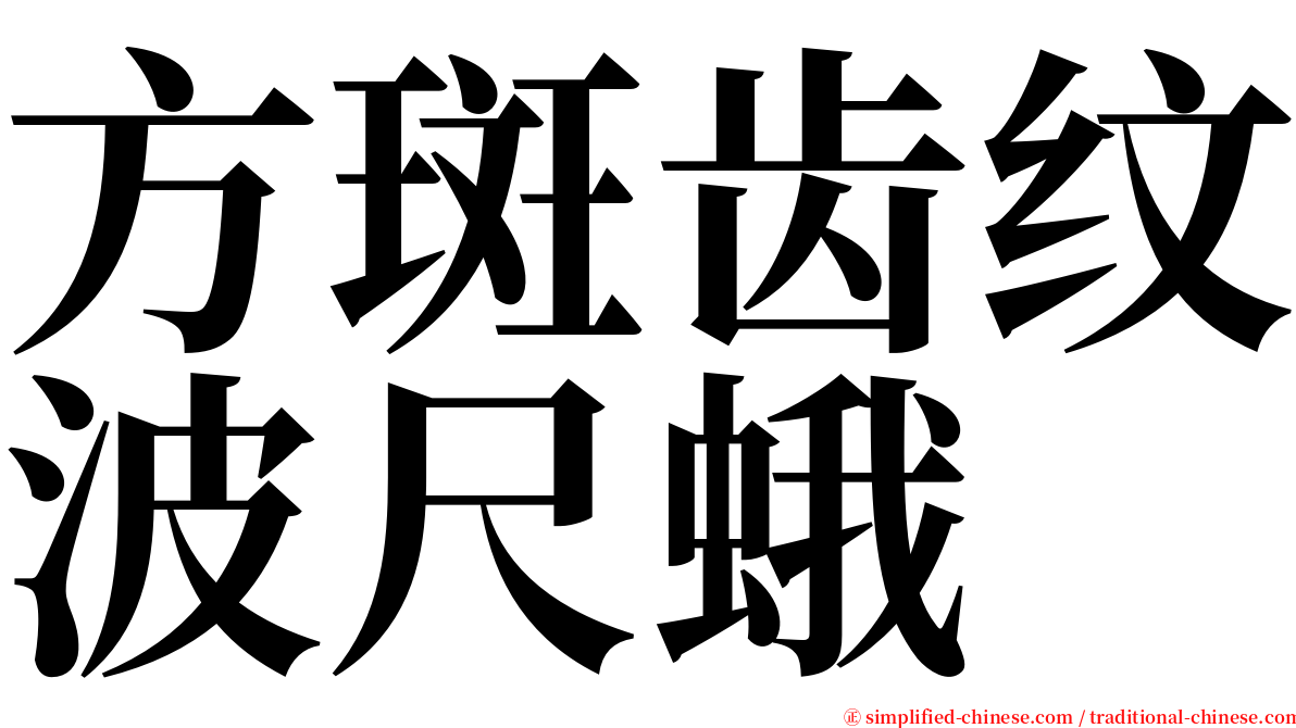 方斑齿纹波尺蛾 serif font