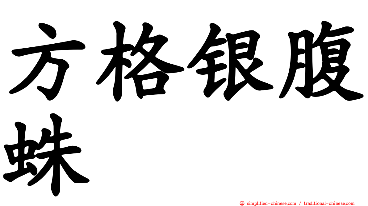 方格银腹蛛