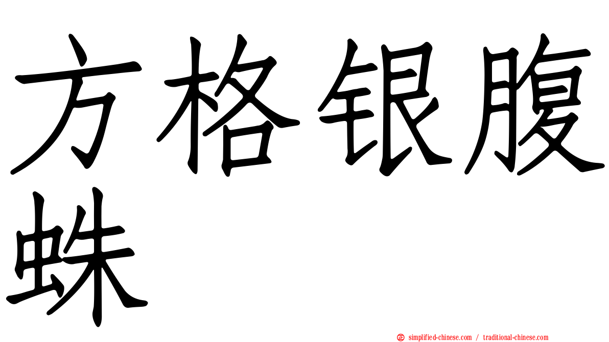 方格银腹蛛