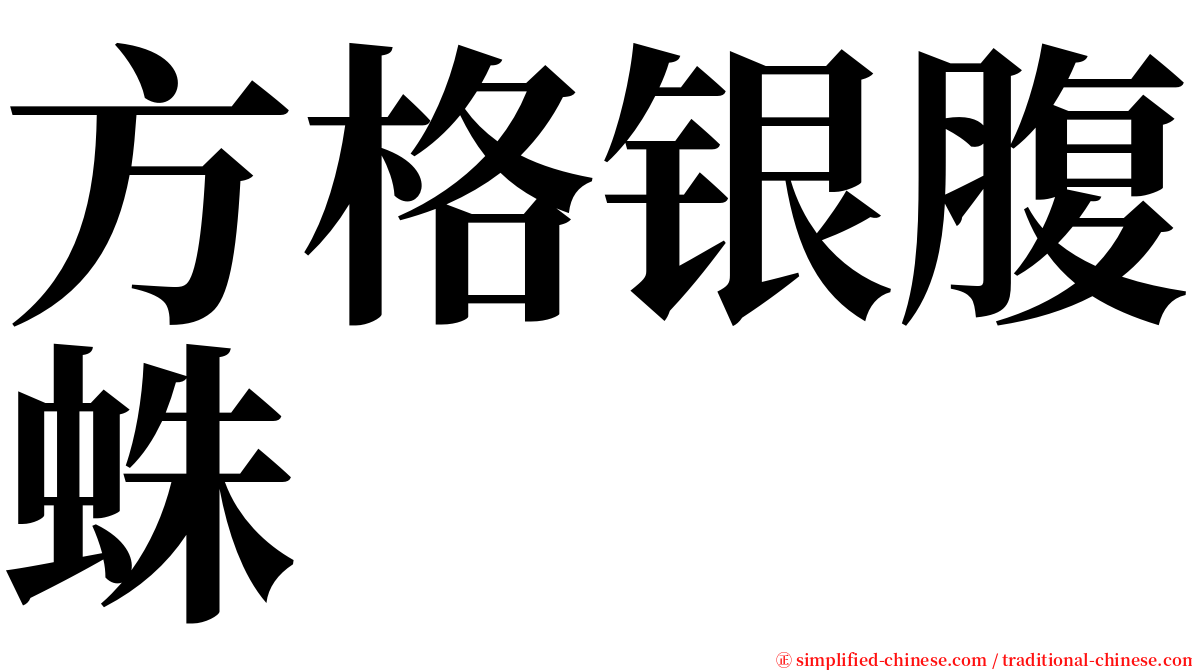 方格银腹蛛 serif font