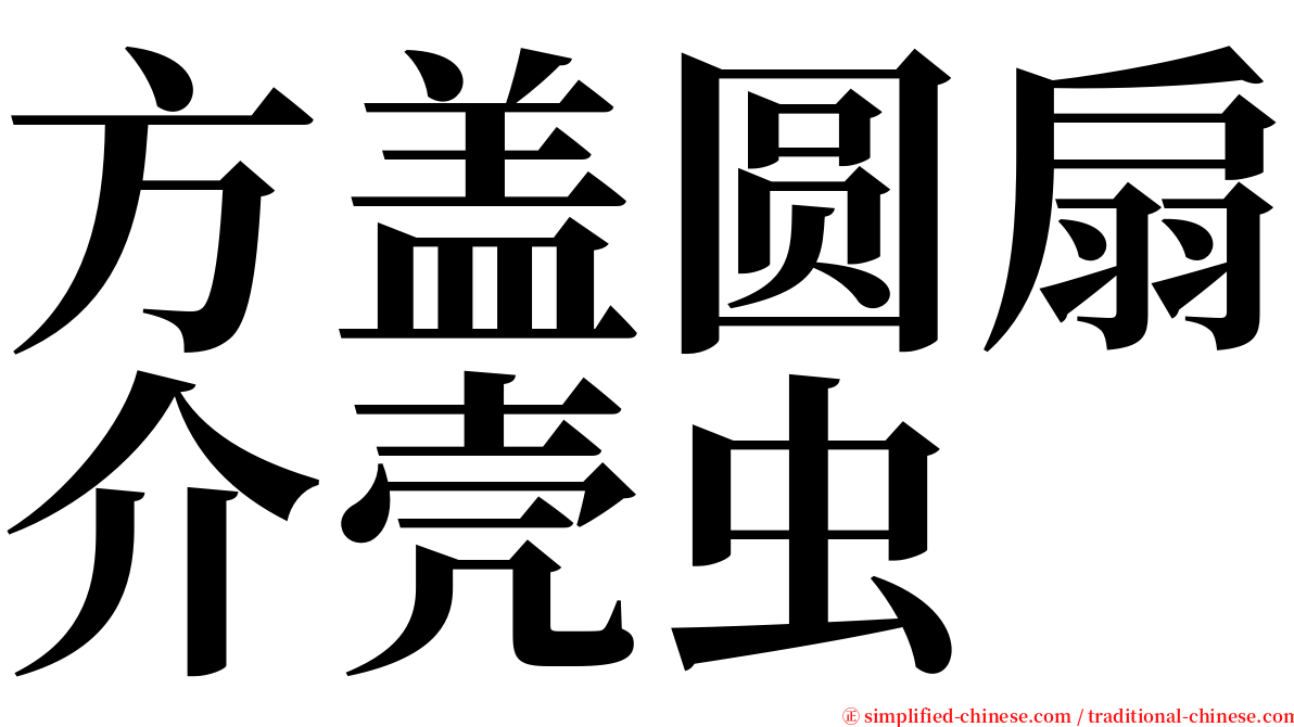 方盖圆扇介壳虫 serif font
