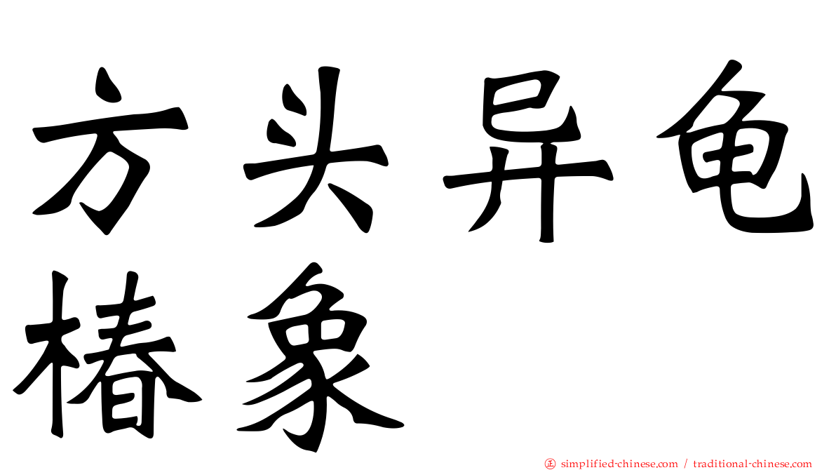 方头异龟椿象