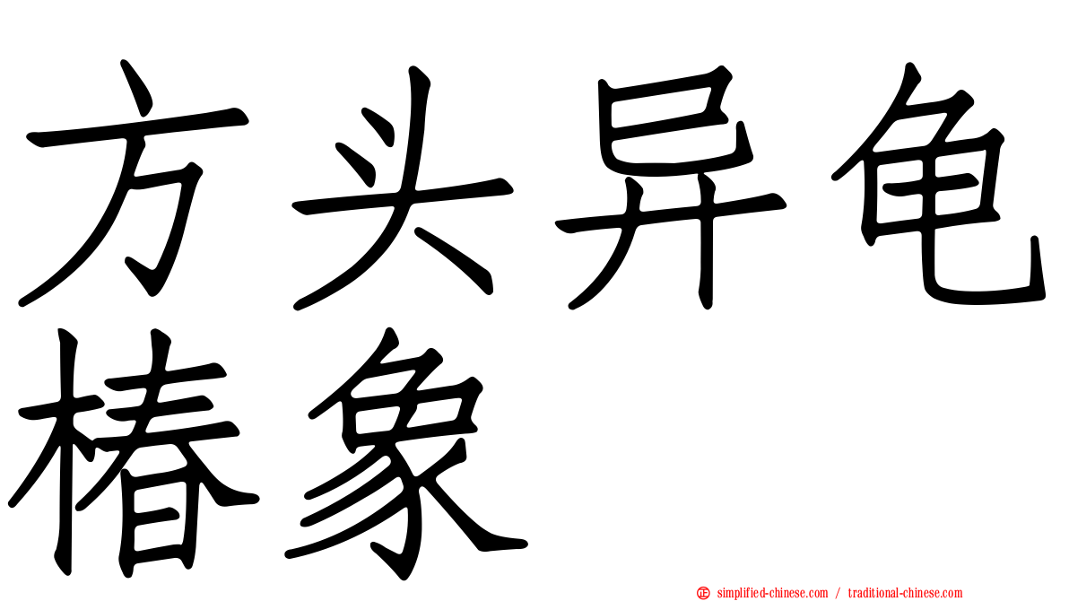 方头异龟椿象