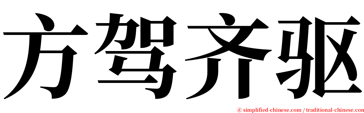方驾齐驱 serif font