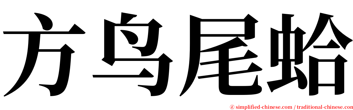 方鸟尾蛤 serif font