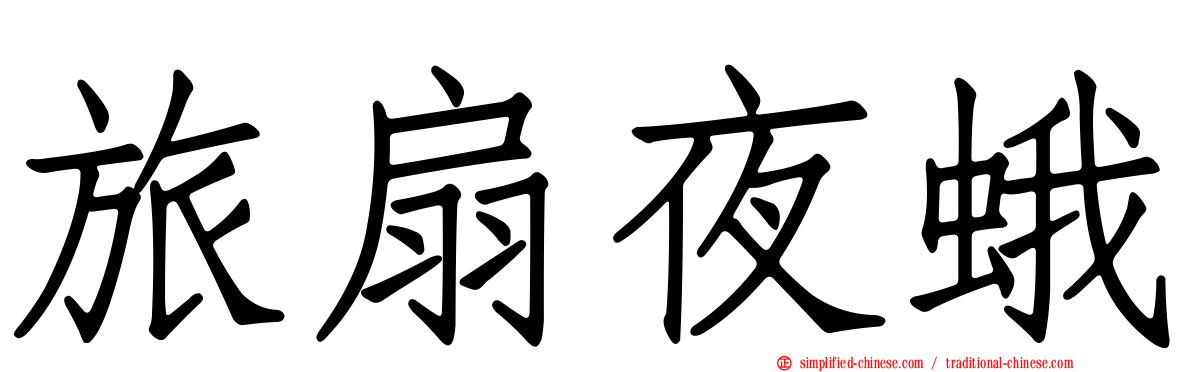 旅扇夜蛾