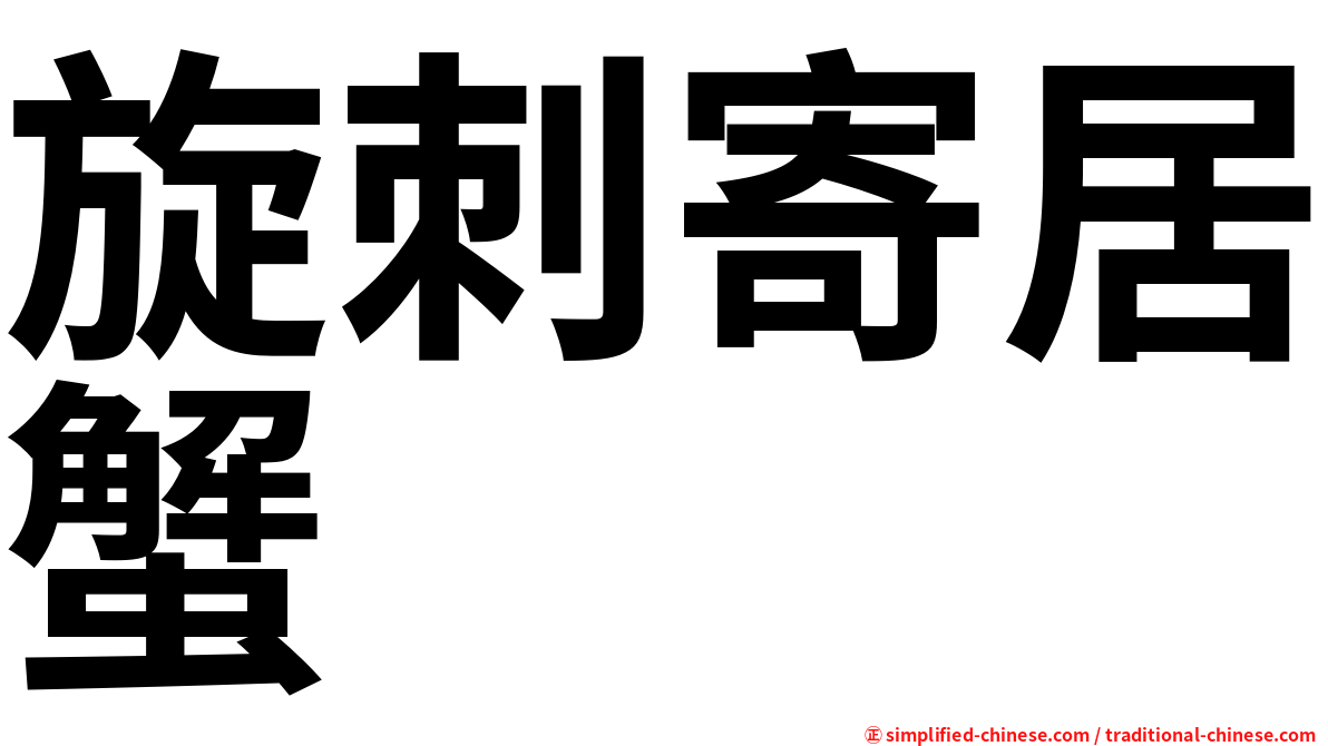 旋刺寄居蟹