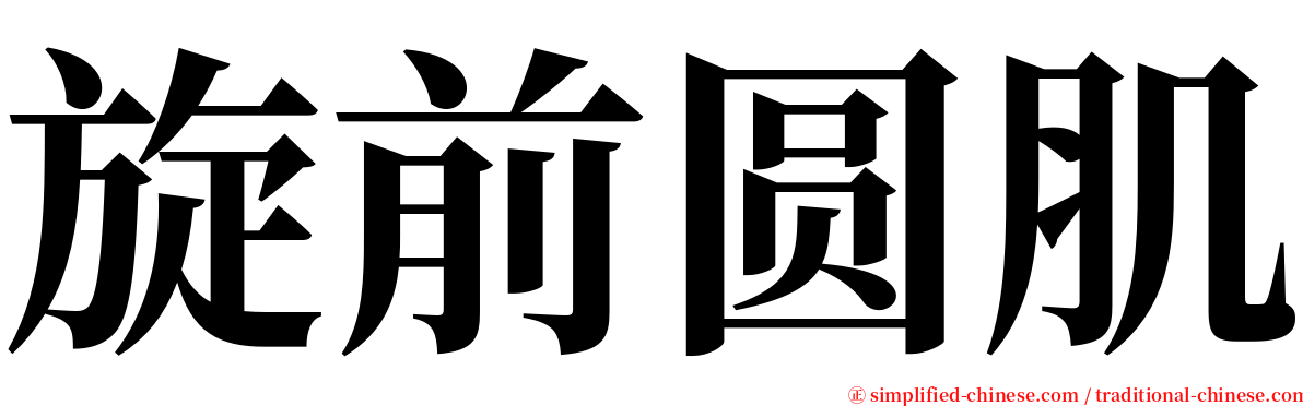 旋前圆肌 serif font