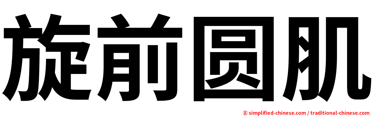 旋前圆肌