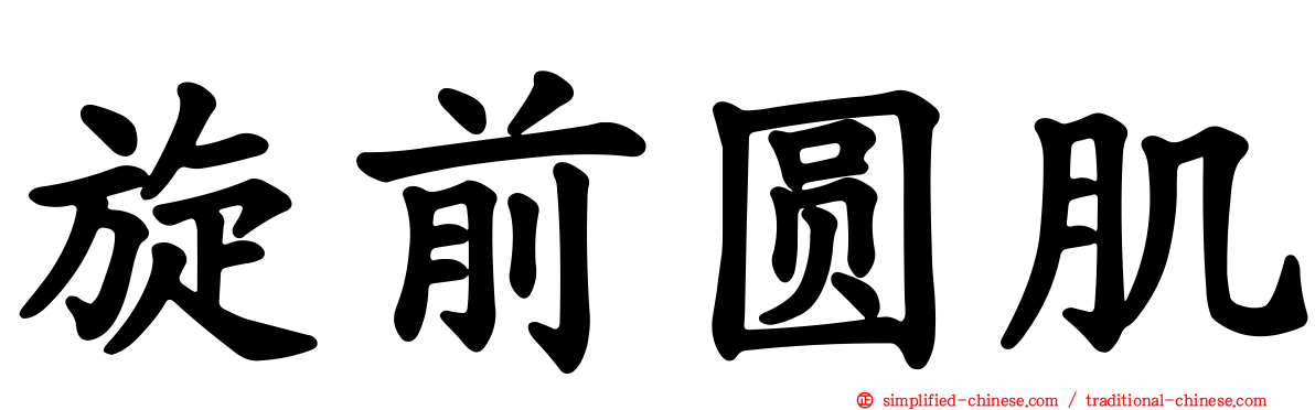 旋前圆肌