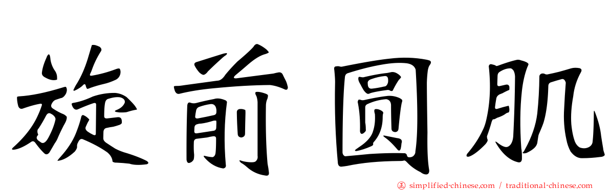 旋前圆肌