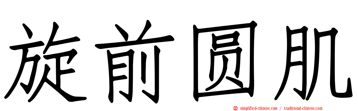 旋前圆肌