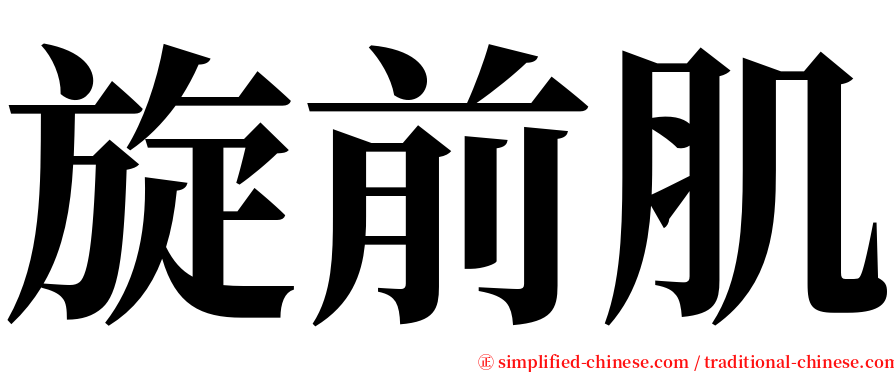 旋前肌 serif font