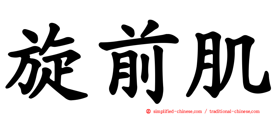 旋前肌