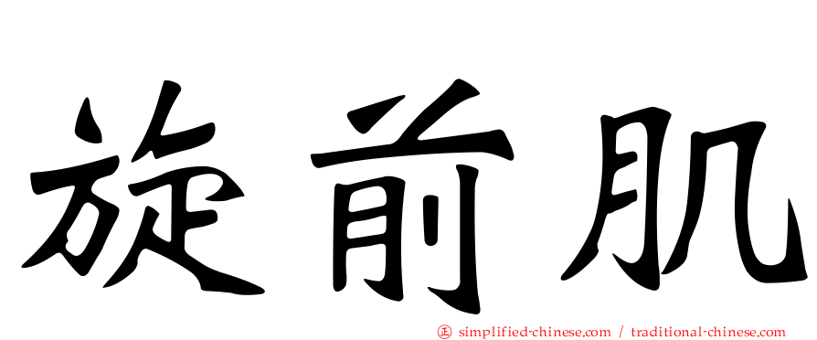 旋前肌