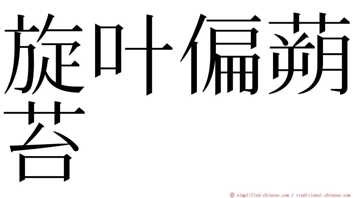 旋叶偏蒴苔 ming font