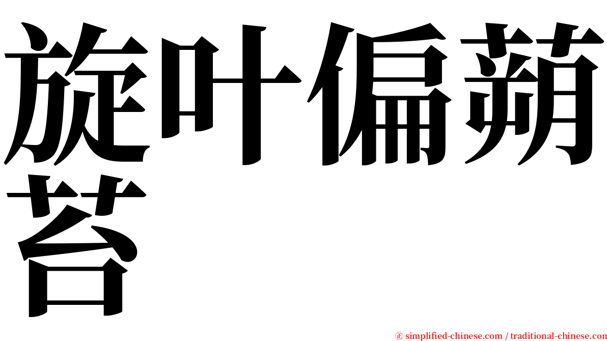 旋叶偏蒴苔 serif font