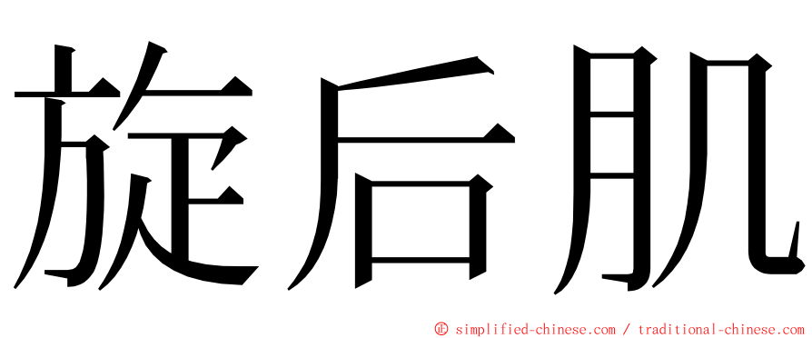 旋后肌 ming font