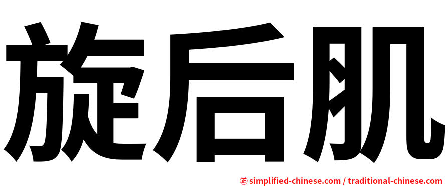 旋后肌