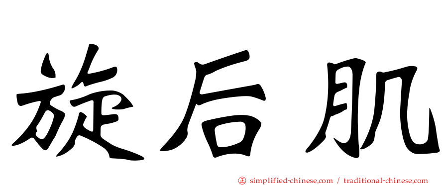 旋后肌