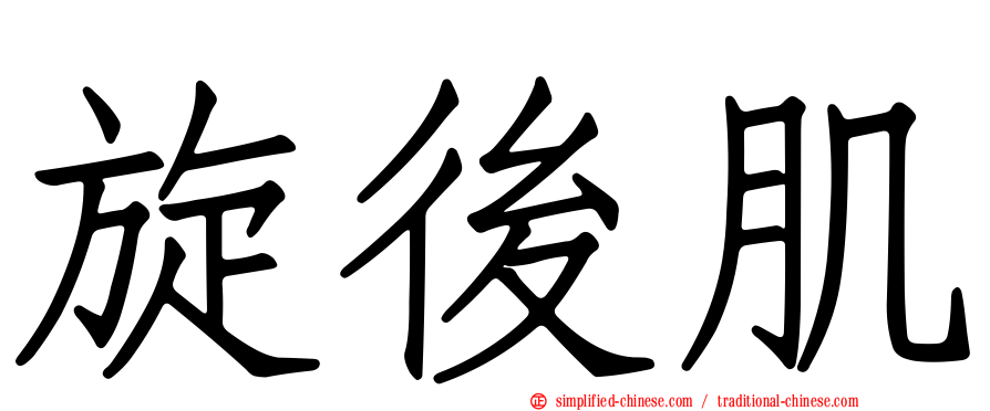 旋后肌