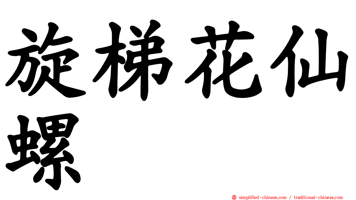 旋梯花仙螺