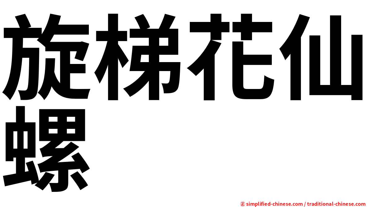 旋梯花仙螺