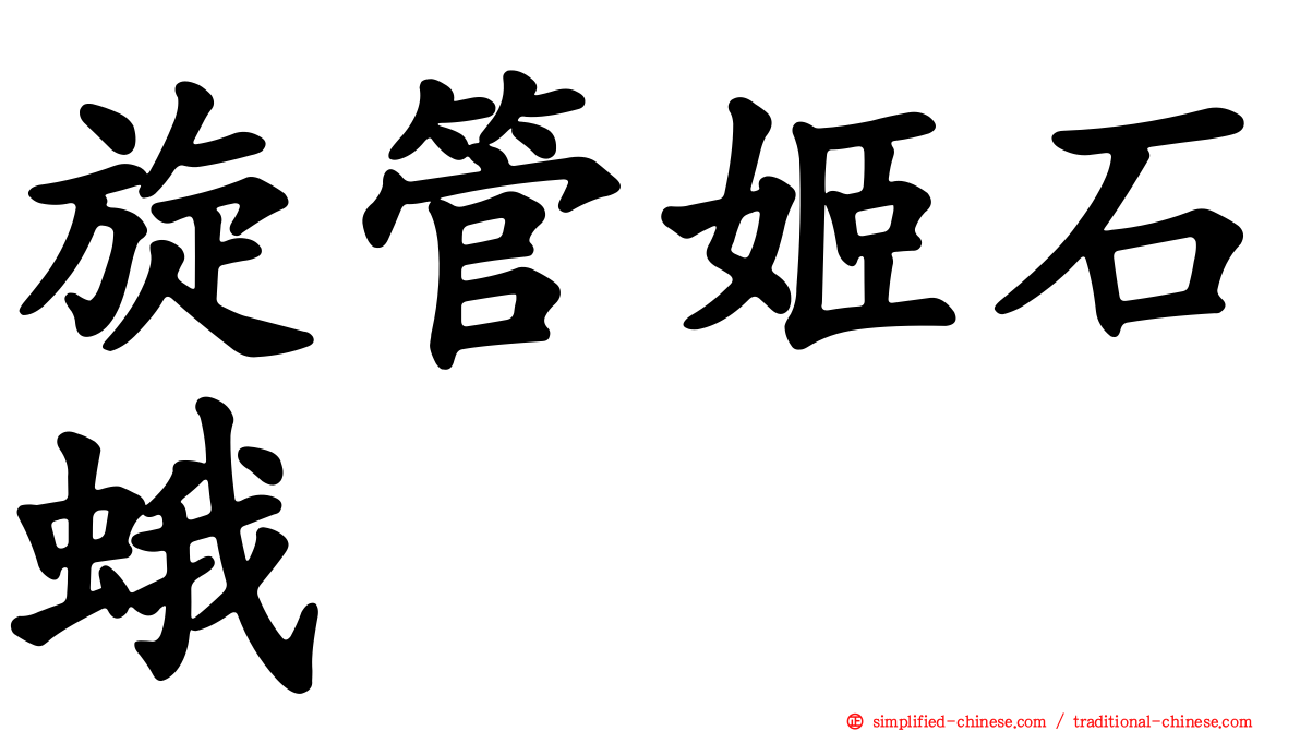 旋管姬石蛾