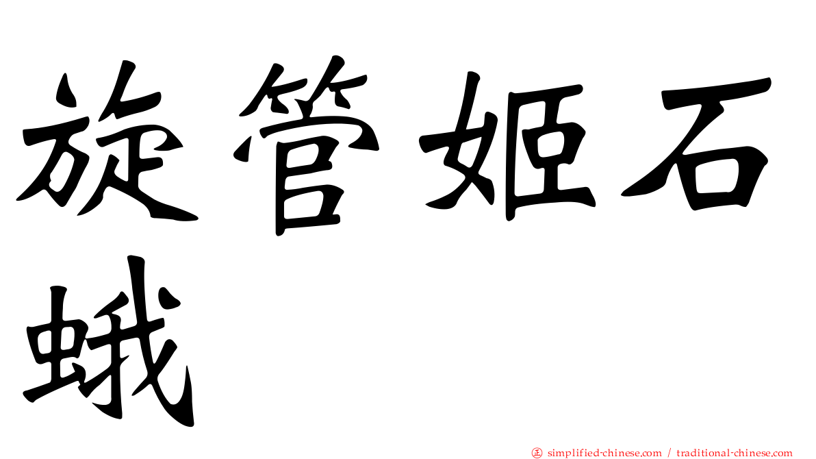 旋管姬石蛾