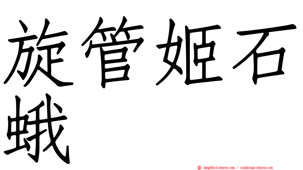 旋管姬石蛾