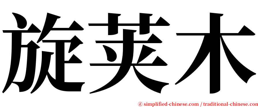 旋荚木 serif font