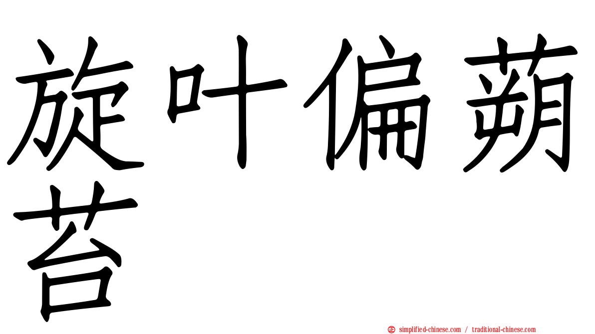 旋叶偏蒴苔