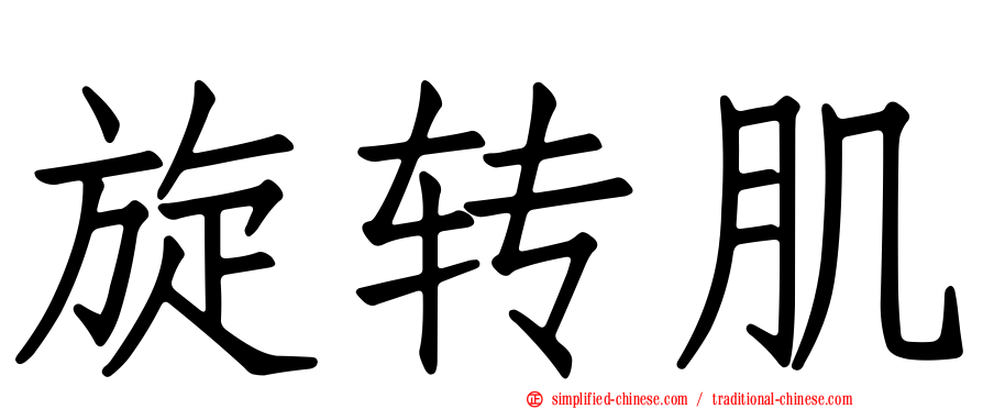 旋转肌
