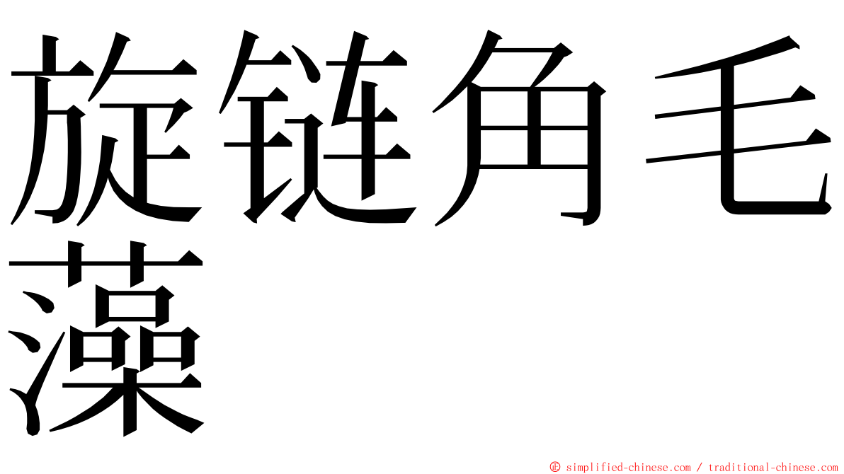 旋链角毛藻 ming font