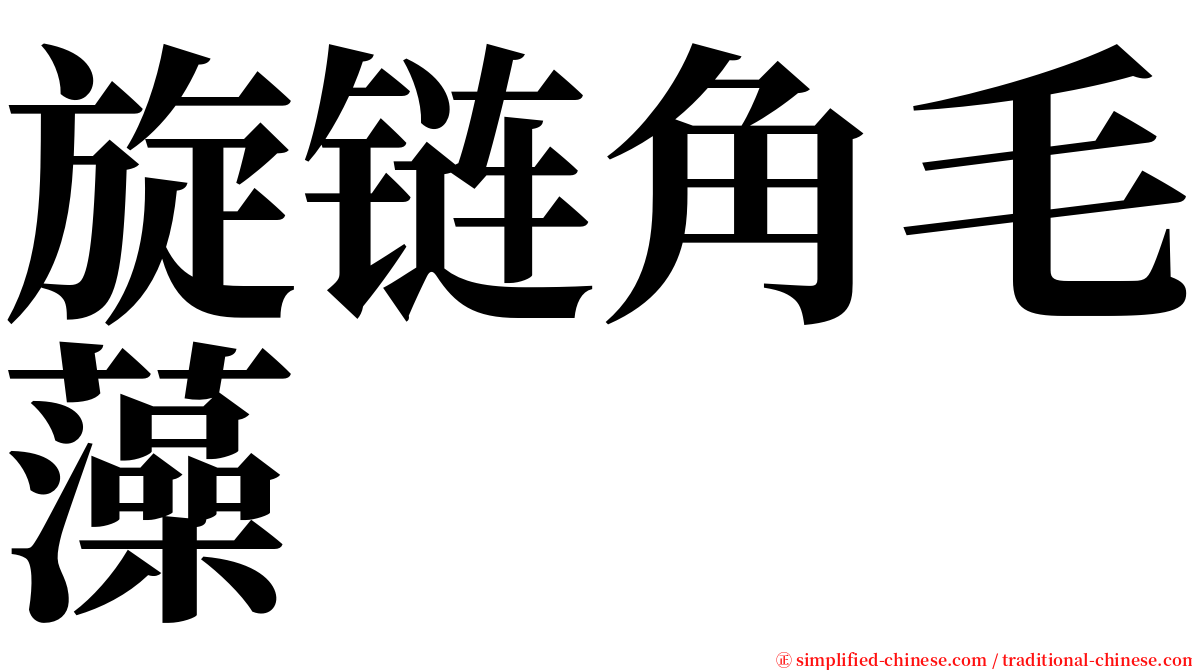 旋链角毛藻 serif font