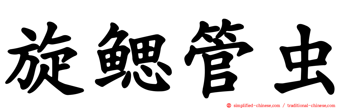 旋鳃管虫