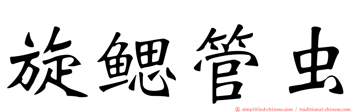 旋鳃管虫