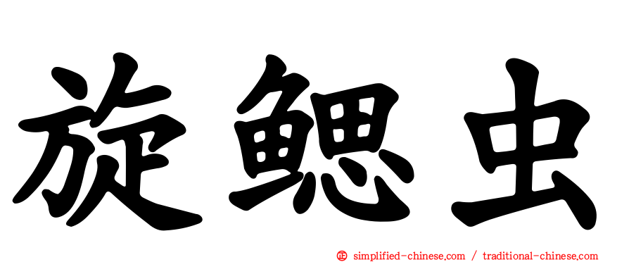 旋鳃虫