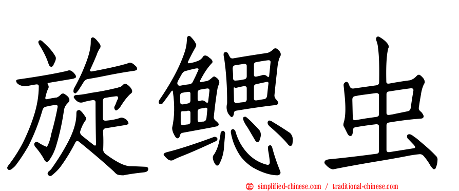 旋鳃虫