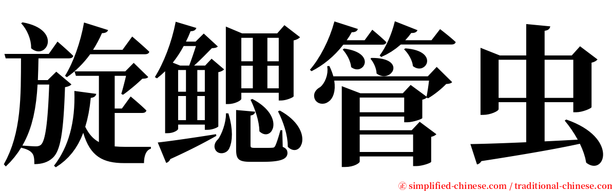 旋鳃管虫 serif font