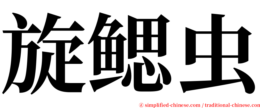 旋鳃虫 serif font