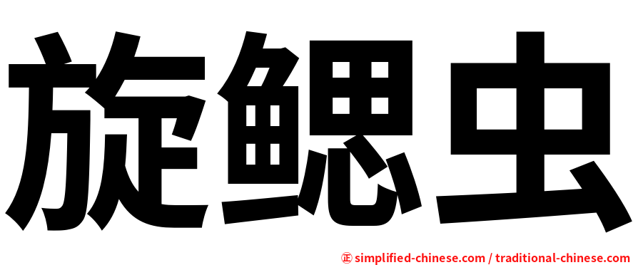 旋鳃虫