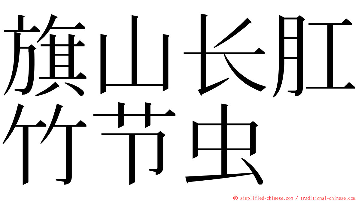 旗山长肛竹节虫 ming font