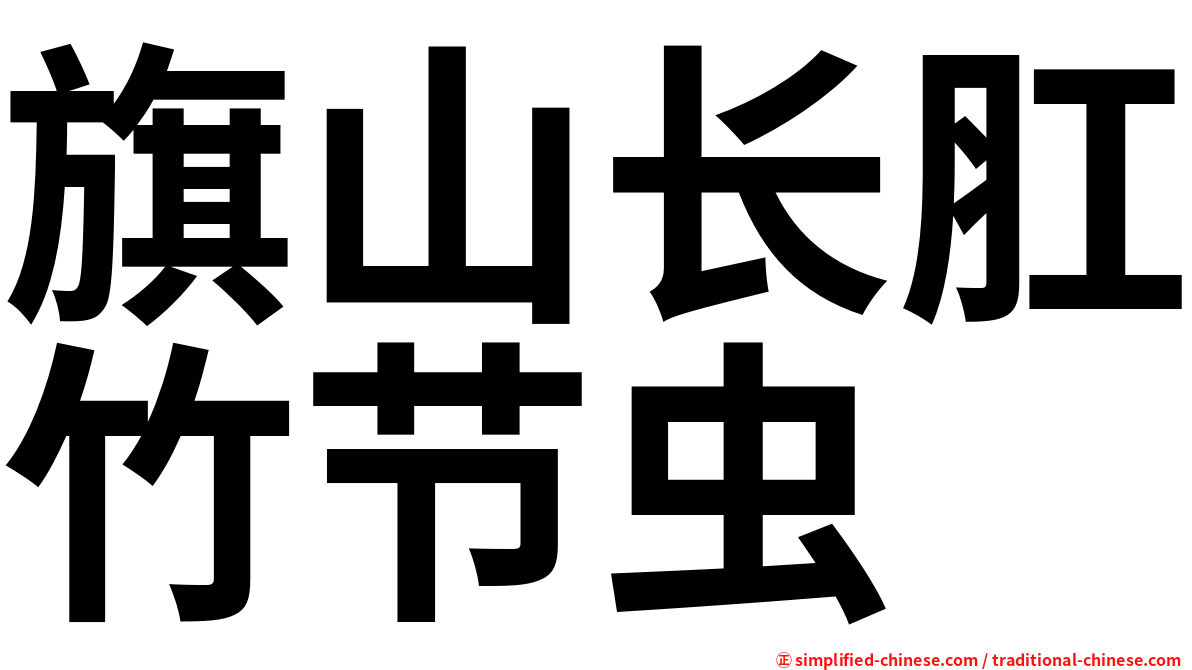 旗山长肛竹节虫
