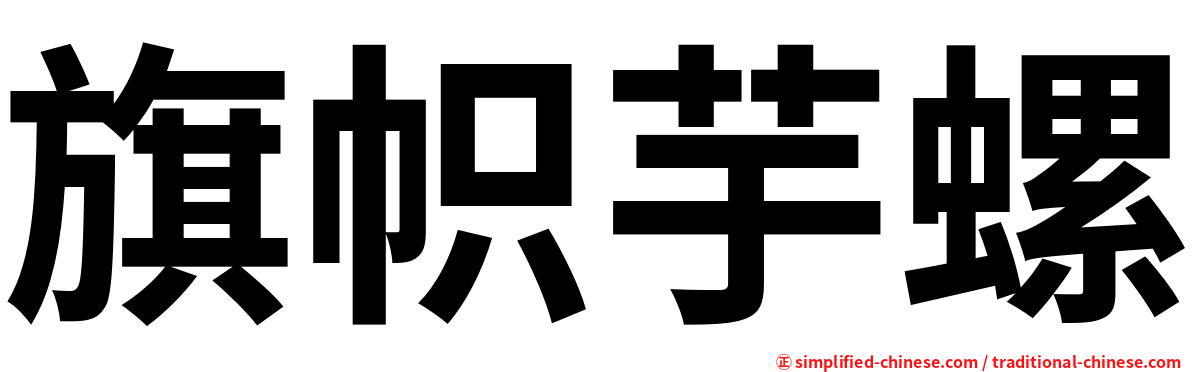 旗帜芋螺