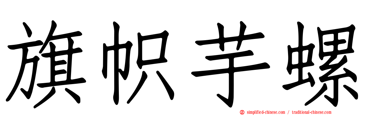 旗帜芋螺