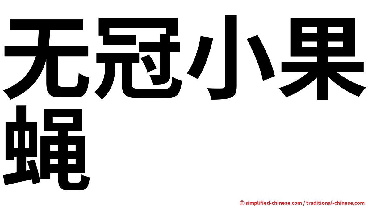 无冠小果蝇