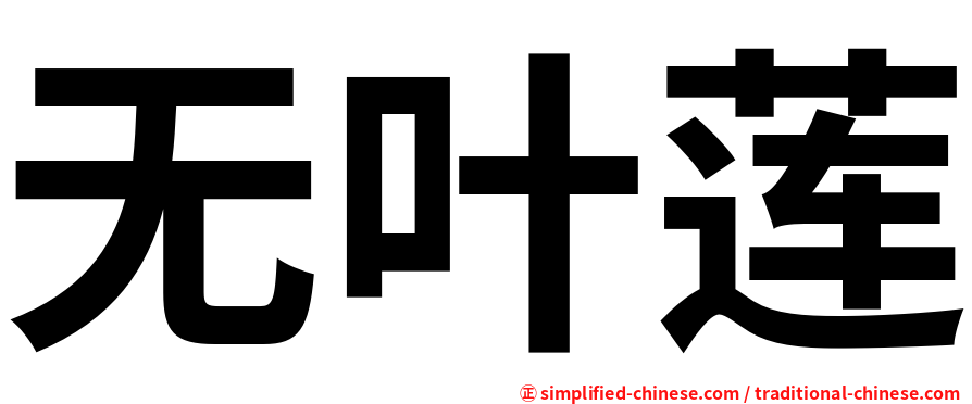 无叶莲